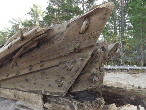Вологодская область привлекла федеральных специалистов к реставрации уникальной ладьи, выброшенной на берег Онежского озера
